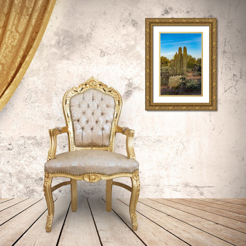 Arizona-Tucson Mountain Park Gold Ornate Wood Framed Art Print with Double Matting by Hawkins, Peter