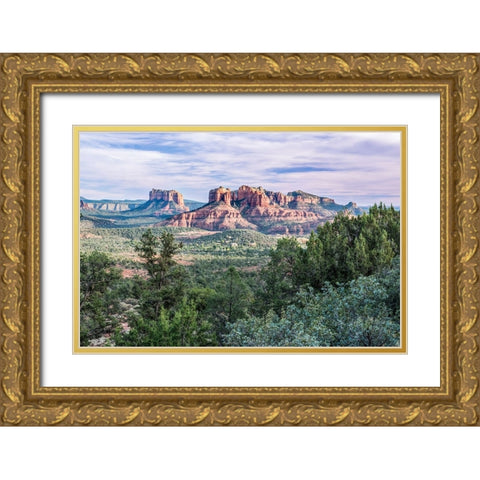 Arizona-Sedona Cathedral Rock Gold Ornate Wood Framed Art Print with Double Matting by Tilley, Rob