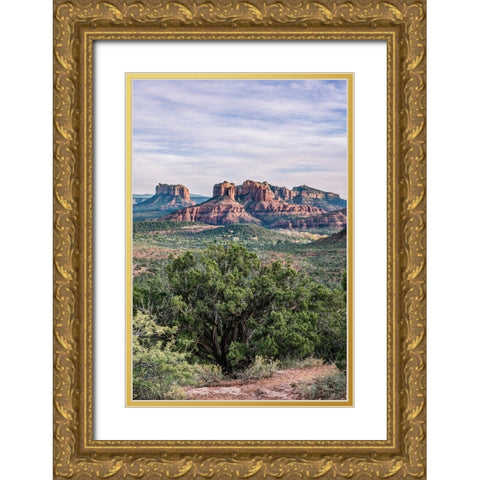 Arizona-Sedona Cathedral Rock Gold Ornate Wood Framed Art Print with Double Matting by Tilley, Rob