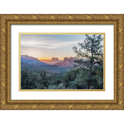 Arizona-Sedona Cathedral Rock at sunrise Gold Ornate Wood Framed Art Print with Double Matting by Tilley, Rob