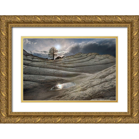 A pool reflects in folds of Brain Rock in white pockets in northern Arizona Gold Ornate Wood Framed Art Print with Double Matting by SMO