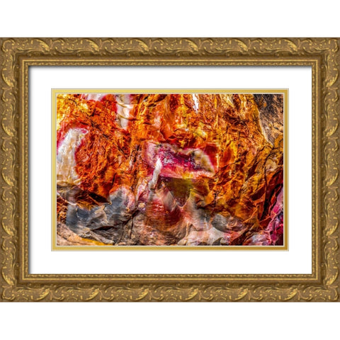 Red-orange and yellow petrified wood abstract-Blue Mesa-Petrified Forest National Park-Arizona Gold Ornate Wood Framed Art Print with Double Matting by Perry, William