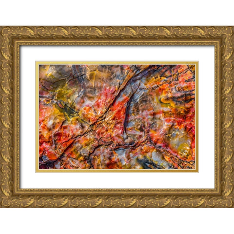 Red-blue-orange petrified wood-Visitor Center-Petrified Forest National Park-Arizona Gold Ornate Wood Framed Art Print with Double Matting by Perry, William