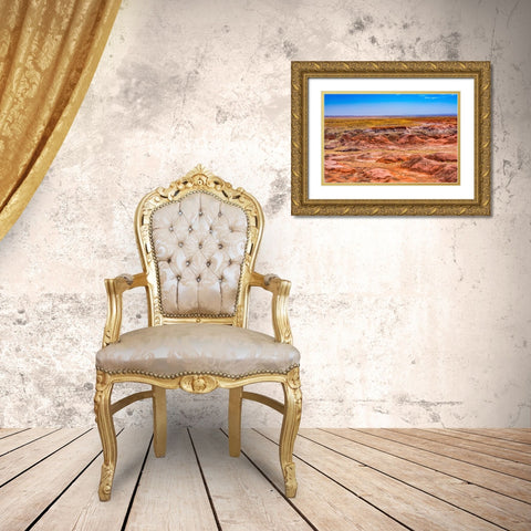 Tawa Point-Painted Desert-Petrified Forest National Park-Arizona Gold Ornate Wood Framed Art Print with Double Matting by Perry, William
