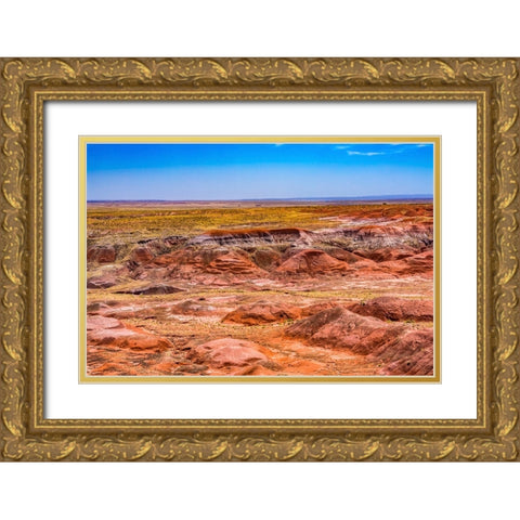Tawa Point-Painted Desert-Petrified Forest National Park-Arizona Gold Ornate Wood Framed Art Print with Double Matting by Perry, William