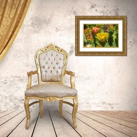 Plains prickly pear cactus blooming- Desert Botanical Garden- Phoenix- Arizona. Gold Ornate Wood Framed Art Print with Double Matting by Perry, William