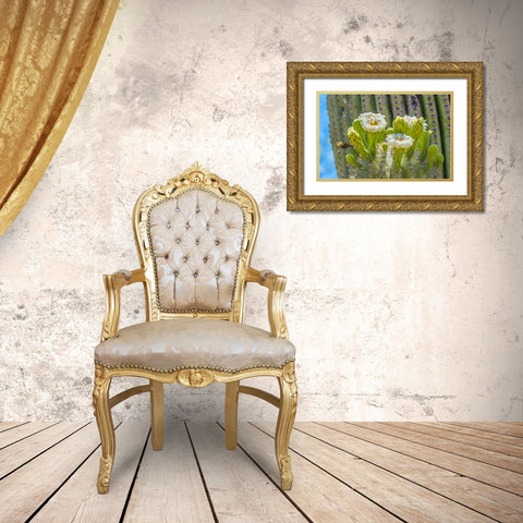 Saguaro cactus blooming- Desert Botanical Garden- Phoenix- Arizona. Gold Ornate Wood Framed Art Print with Double Matting by Perry, William