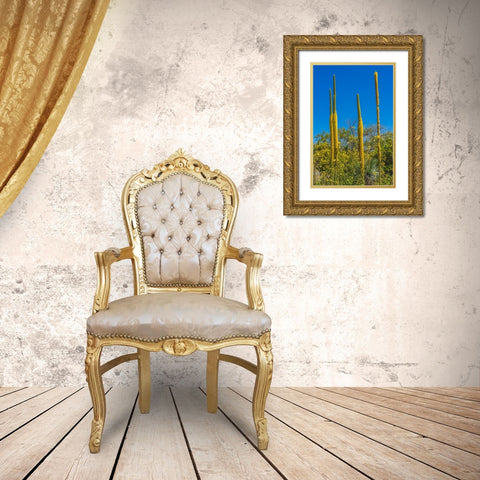 Thread Agaves blooming- Desert Botanical Garden- Phoenix- Arizona. Gold Ornate Wood Framed Art Print with Double Matting by Perry, William