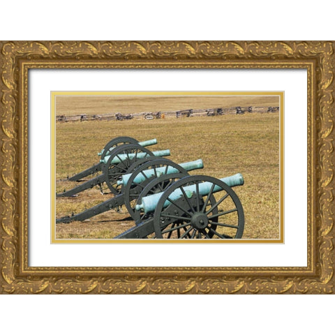 Arkansas Civil War cannons at Pea Ridge Park Gold Ornate Wood Framed Art Print with Double Matting by Flaherty, Dennis