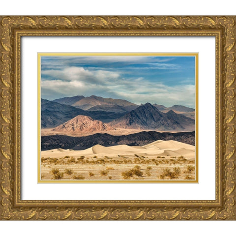 California-Death Valley National Park-Stovepipe Wells-Mesquite Flat Dunes Gold Ornate Wood Framed Art Print with Double Matting by Collins, Ann