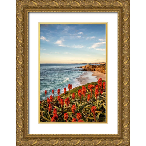 USA-California-La Jolla Blooming aloe and Wipeout Beach Gold Ornate Wood Framed Art Print with Double Matting by Collins, Ann