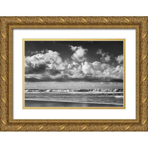 USA-California-La Jolla Waves at La Jolla Shores Beach Gold Ornate Wood Framed Art Print with Double Matting by Collins, Ann