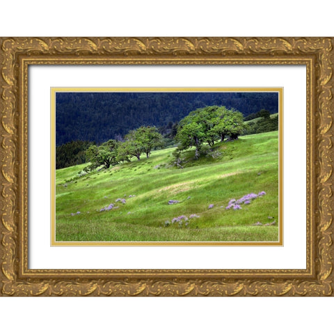 Grasses and trees-Dolason Prairie just off Bald Hills Road-California Gold Ornate Wood Framed Art Print with Double Matting by Jones, Adam