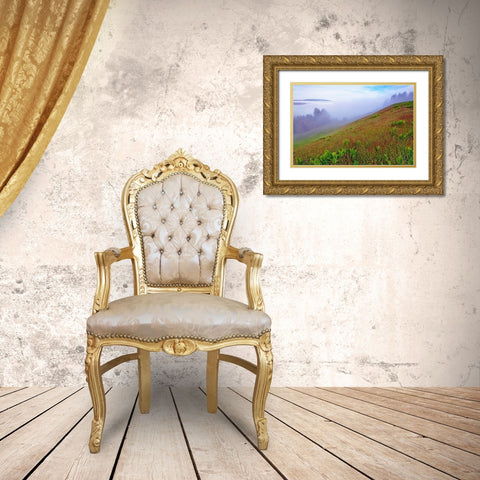 Foggy view of grasses Dolason Prairie Gold Ornate Wood Framed Art Print with Double Matting by Jones, Adam