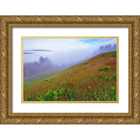 Foggy view of grasses Dolason Prairie Gold Ornate Wood Framed Art Print with Double Matting by Jones, Adam