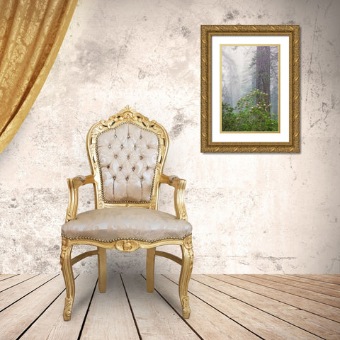 Pacific Rhododendron in foggy redwood forest-Redwood National Park, Gold Ornate Wood Framed Art Print with Double Matting by Jones, Adam