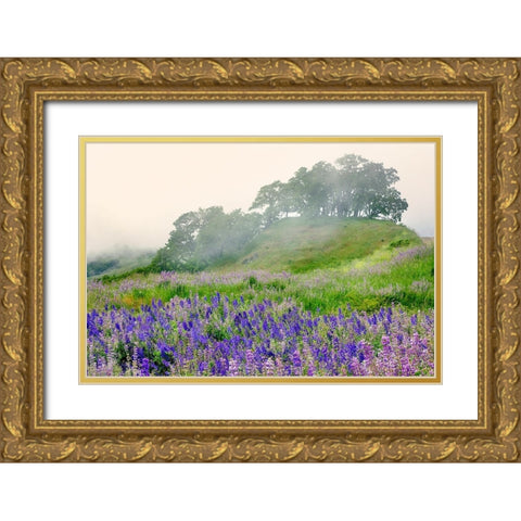 Purple and blue lupine flowers and tree in fog-Bald Hills Road-California Gold Ornate Wood Framed Art Print with Double Matting by Jones, Adam