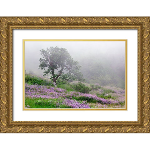 Purple Lupine flowers and tree in fog-Bald Hills Road-California Gold Ornate Wood Framed Art Print with Double Matting by Jones, Adam