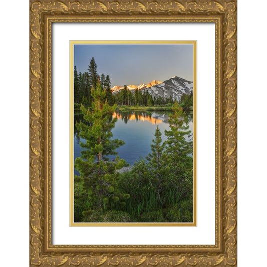 Perspective Image