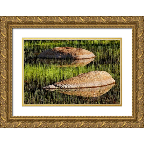 Rocks and grass at first light-Tuolumne Meadows-Yosemite National Park-California Gold Ornate Wood Framed Art Print with Double Matting by Jones, Adam