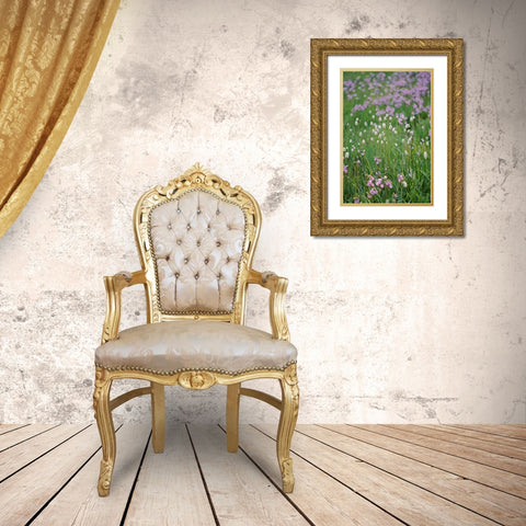 Bistort flowers Tuolumne Meadows-Yosemite National Park-California Gold Ornate Wood Framed Art Print with Double Matting by Jones, Adam