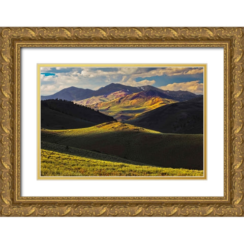 View of meadow in the White Mountains at sunset-Inyo National Forest-California Gold Ornate Wood Framed Art Print with Double Matting by Jones, Adam