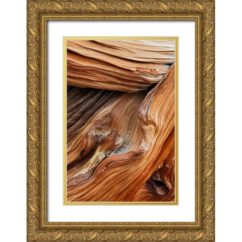 Pattern in wood of Bristlecone pine-White Mountains-Inyo National Forest-California Gold Ornate Wood Framed Art Print with Double Matting by Jones, Adam