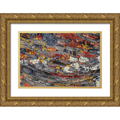 Colorful red and yellow lichens on rocks-eastern Sierra Range-California Gold Ornate Wood Framed Art Print with Double Matting by Jones, Adam