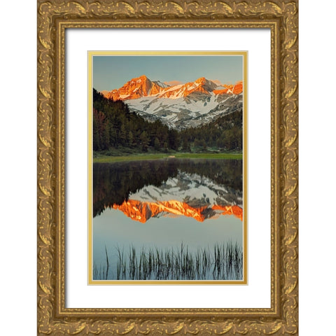 Alpine tarn-Tuolumne Meadows sunrise-Yosemite National Park-California Gold Ornate Wood Framed Art Print with Double Matting by Jones, Adam