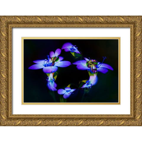 Abstract of Davy Gilia flowers-Antelope Valley California Poppy Preserve-Lancaster-California Gold Ornate Wood Framed Art Print with Double Matting by Jones, Adam