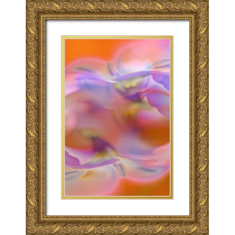 Abstract of Davy Gilia flowers-Antelope Valley California Poppy Preserve-Lancaster-California Gold Ornate Wood Framed Art Print with Double Matting by Jones, Adam