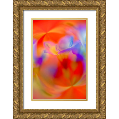 Abstract of Davy Gilia flowers-Antelope Valley California Poppy Preserve-Lancaster-California Gold Ornate Wood Framed Art Print with Double Matting by Jones, Adam