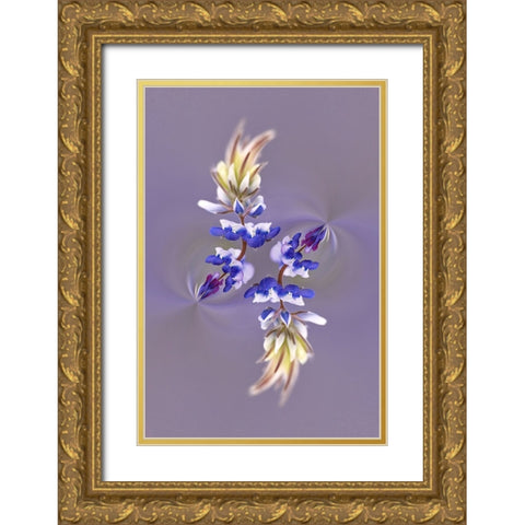 Lupine flower-Napa Valley-California Gold Ornate Wood Framed Art Print with Double Matting by Jones, Adam