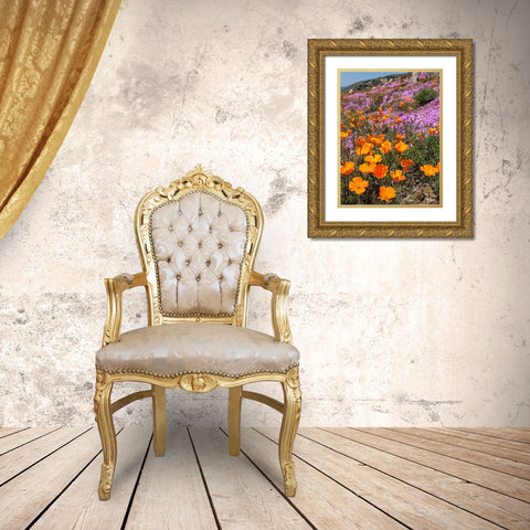 California Poppies-Big Sur-California-USA Gold Ornate Wood Framed Art Print with Double Matting by Miller, Anna