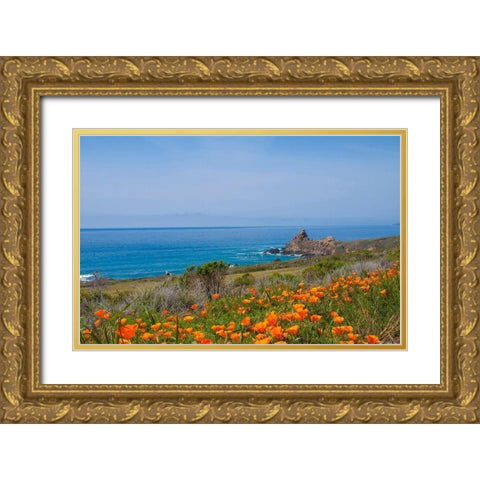 California Poppies-Big Sur-California-USA Gold Ornate Wood Framed Art Print with Double Matting by Miller, Anna