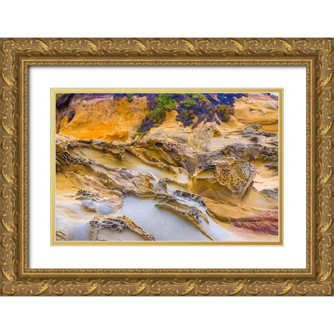Rocky Formations at Bean Hollow Beach-California-USA Gold Ornate Wood Framed Art Print with Double Matting by Miller, Anna