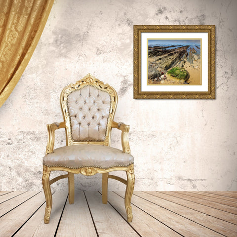 Geological Rock Formations-Fitzgerald Marine Reserve-California-USA Gold Ornate Wood Framed Art Print with Double Matting by Miller, Anna