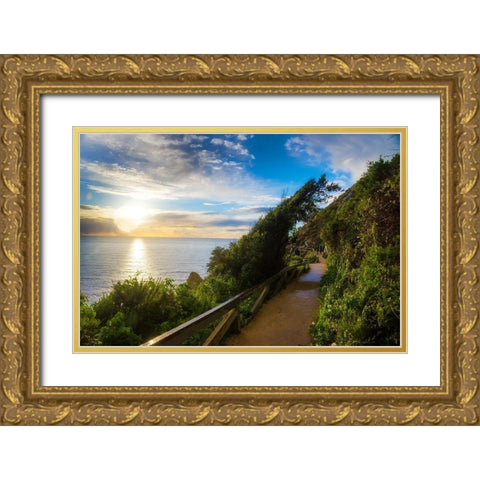 Sunset-Julia Pfeiffer Burns State Park-Big Sur-California-USA Gold Ornate Wood Framed Art Print with Double Matting by Miller, Anna