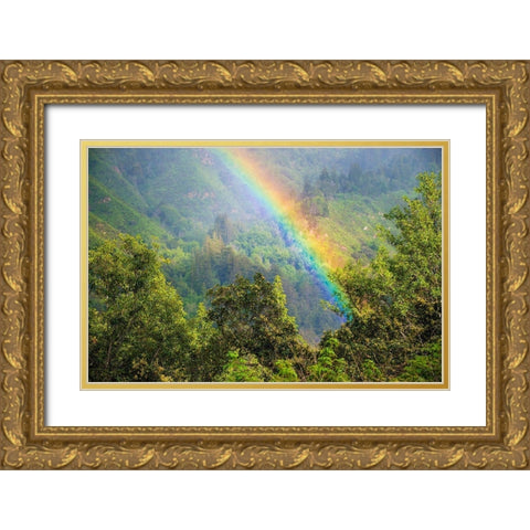 Rainbow in Andrew Molera State Park-California-USA Gold Ornate Wood Framed Art Print with Double Matting by Miller, Anna