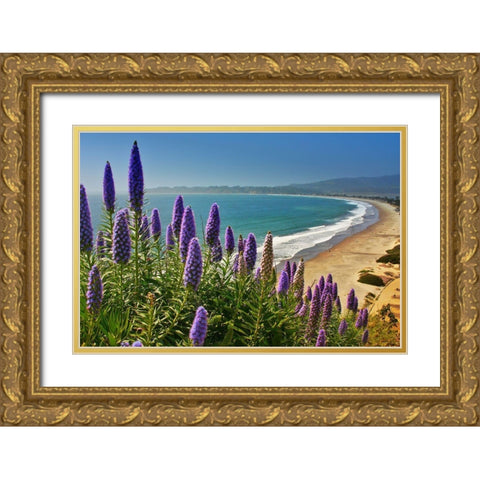 Beach-Coastal Marin Headlands-California-USA Gold Ornate Wood Framed Art Print with Double Matting by Miller, Anna