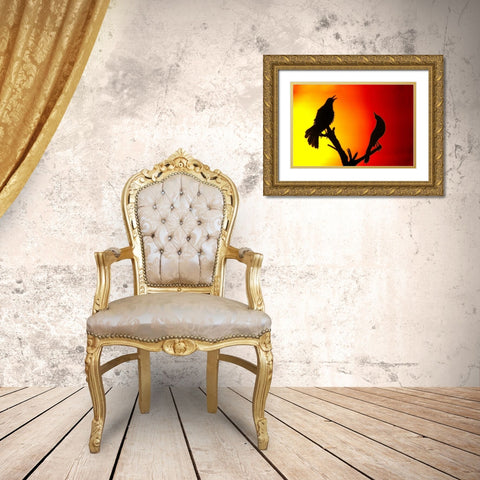 CA, Salton Sea NWR Great-tailed grackles Gold Ornate Wood Framed Art Print with Double Matting by Morris, Arthur