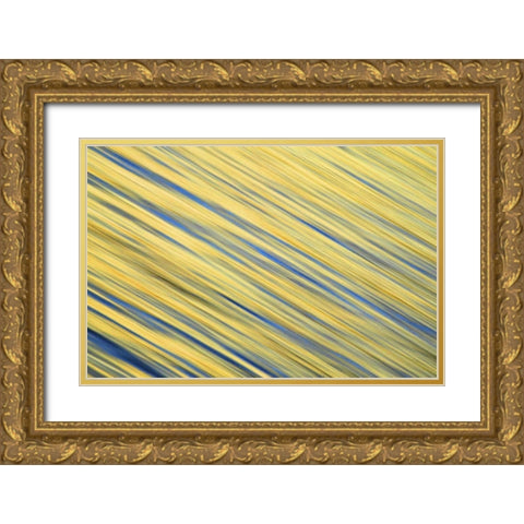 CA, La Jolla Abstract blur of ocean at dawn Gold Ornate Wood Framed Art Print with Double Matting by Morris, Arthur