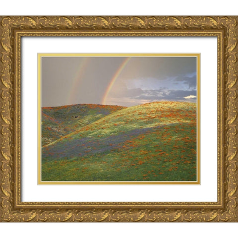 CA Hills with wildflowers and a double rainbow Gold Ornate Wood Framed Art Print with Double Matting by Zuckerman, Jim