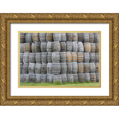 CA, San Luis Obispo Co, Stacks of wine barrels Gold Ornate Wood Framed Art Print with Double Matting by Flaherty, Dennis
