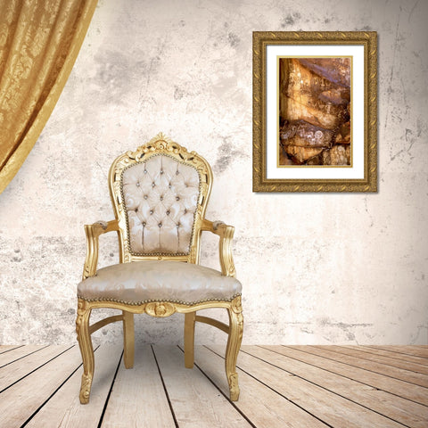 California, Little Petroglyph Canyon Petroglyphs Gold Ornate Wood Framed Art Print with Double Matting by Welling, Dave