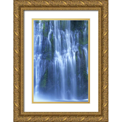 CA, McArthur-Burney Falls SP Burney Falls Gold Ornate Wood Framed Art Print with Double Matting by Welling, Dave