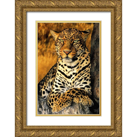 CA, Los Angeles Co, African leopard Gold Ornate Wood Framed Art Print with Double Matting by Welling, Dave