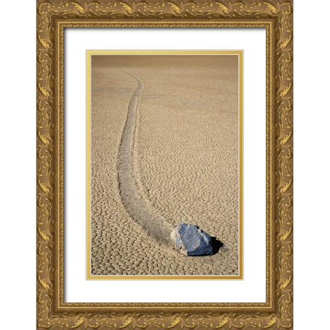 CA, Death Valley NP A mysterious sliding rock Gold Ornate Wood Framed Art Print with Double Matting by Flaherty, Dennis