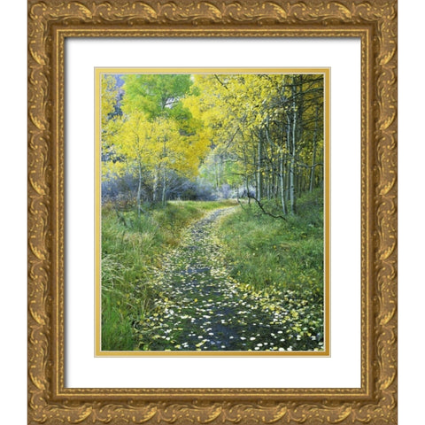 CA, Eastern Sierra Leaf-covered path into forest Gold Ornate Wood Framed Art Print with Double Matting by Flaherty, Dennis