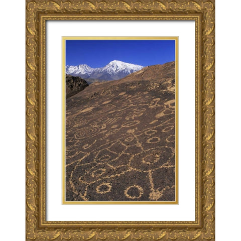 CA, Sierra Nevada Circular and linear petroglyph Gold Ornate Wood Framed Art Print with Double Matting by Flaherty, Dennis